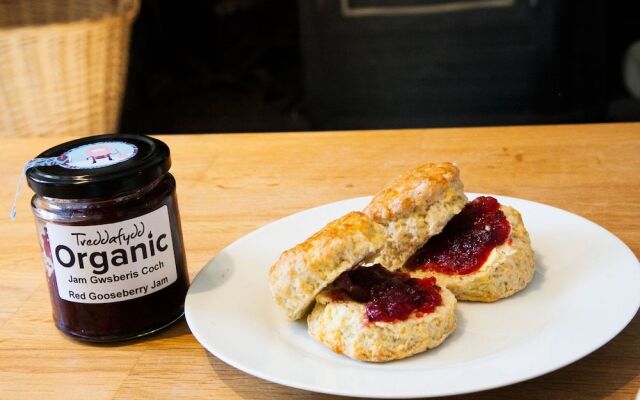 Arallt Holiday Cottage