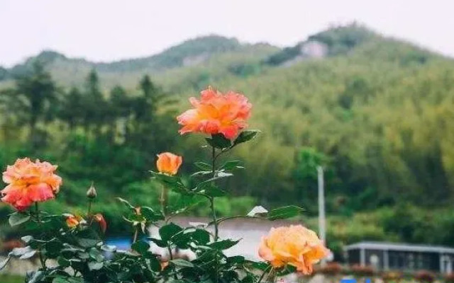 Tianzhu Huaxi Vally B&B