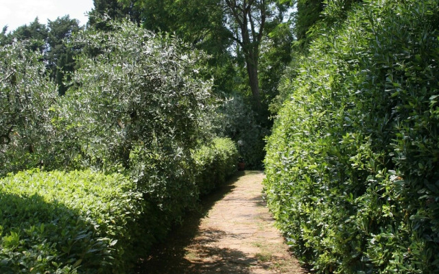 Wine, Good Food, Nature, art