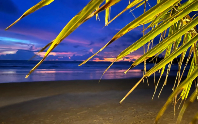 Noble House Beach Resort