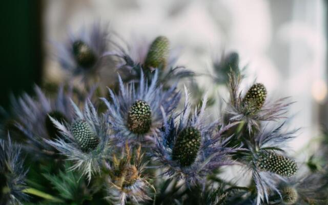 Tranquil Little Hide-Away in Oxford with Private Garden