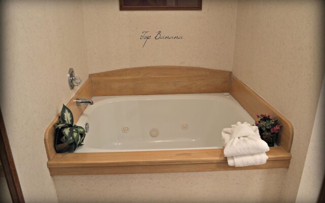 In the Smokies Cabin Rentals