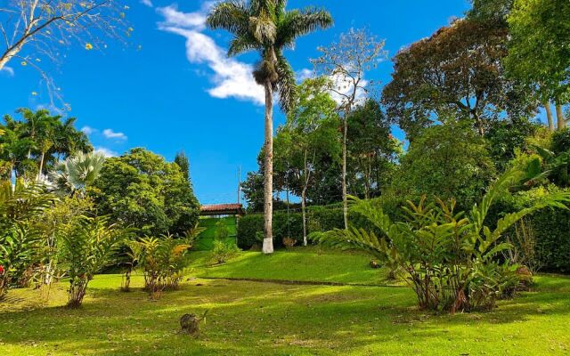 "room in Lodge - Tree House Finca La Floresta Verde"