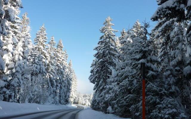 Apartment 39 Schönwald