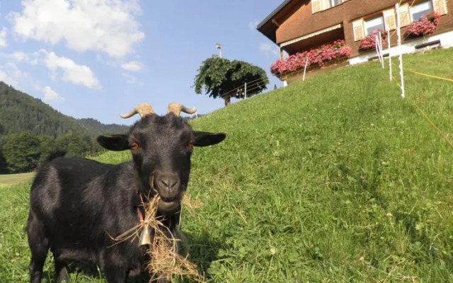 Ferienwohnung Kaufmann