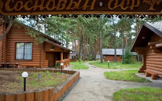 Сосновый Бор