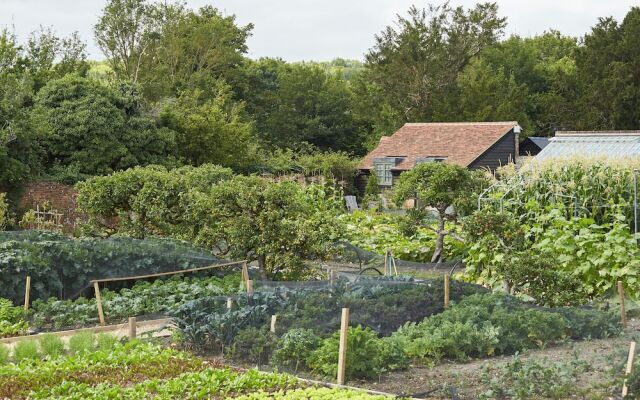 The Pig in the South Downs
