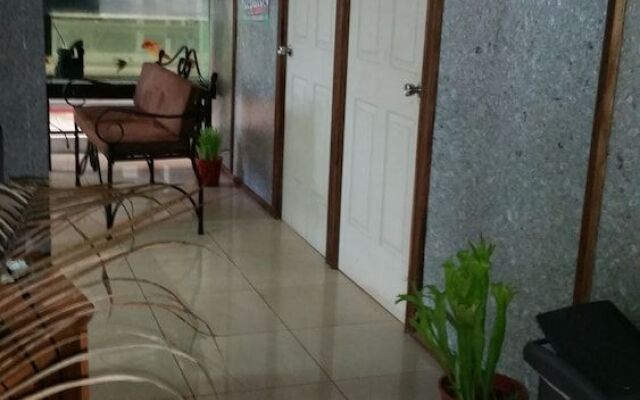 Eco Hostel