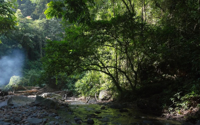 Room in Lodge - Holiday Rental in Sumatra