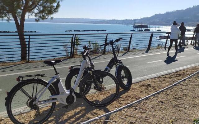 Il Giardino Fra Gli Ulivi