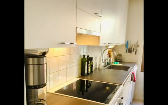 Large artsy apartment in Pasila