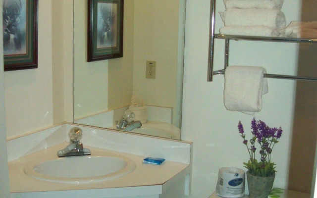 Gatlinburg Chateau Rentals