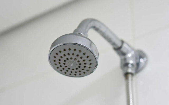 SP Stays Emotion - Brooklin