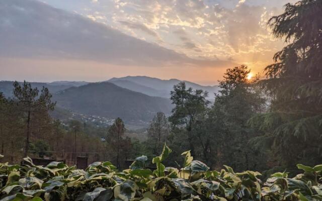 Green garden homestay