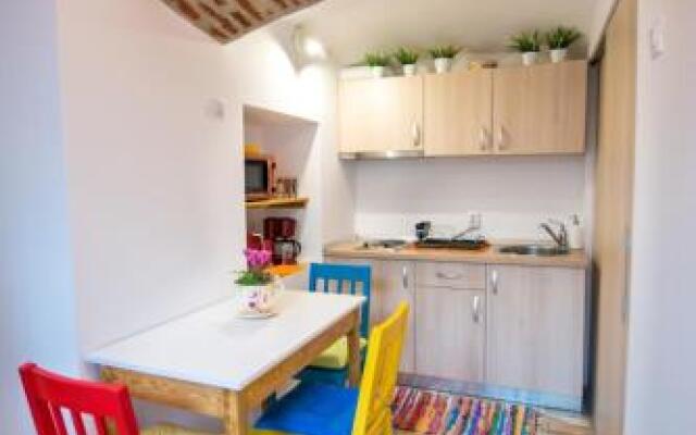 History Apartment Piata Mare