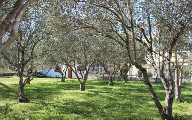 Pierre's Place