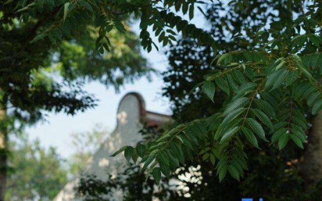 Yiyi Zhenxuan Hostel