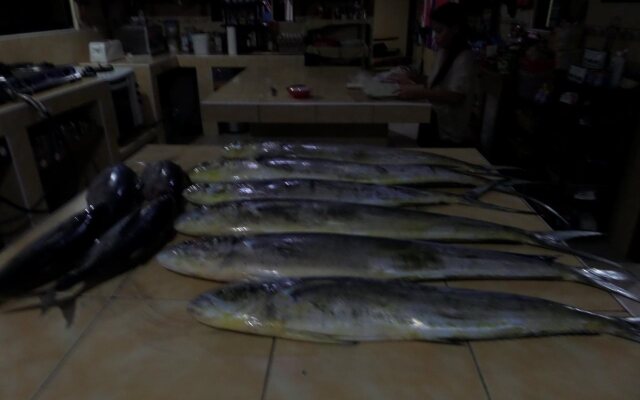 Sailfish Bay Surf & Big Game Fishing Lodge