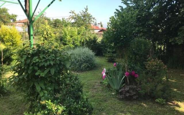 Guesthouse Planinsko Gnezdo