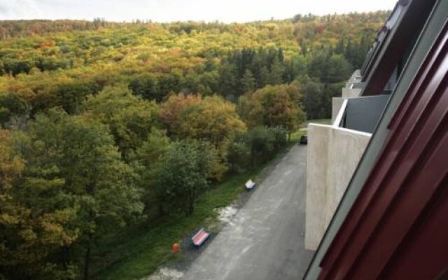 Artsvik Hotel Tsaghkadzor