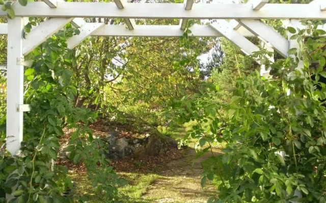 Okka Tavern & Guesthouse