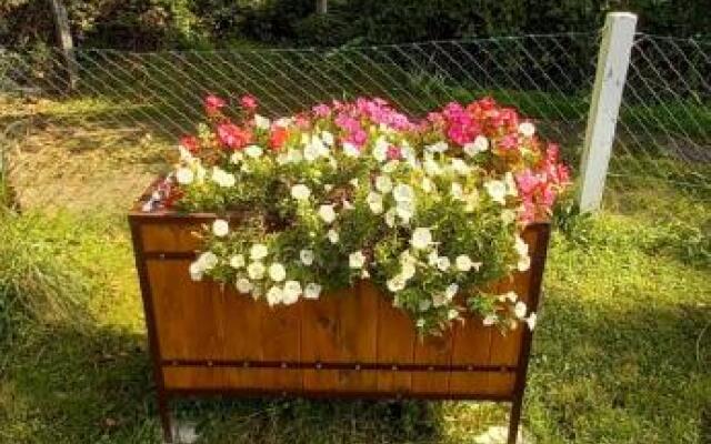 Apartman Stilin Vrdnik