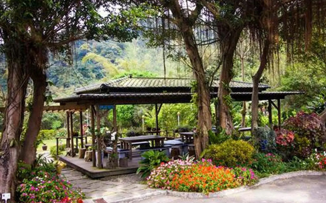 Taiwan Reishi Expert Bed and Breakfast