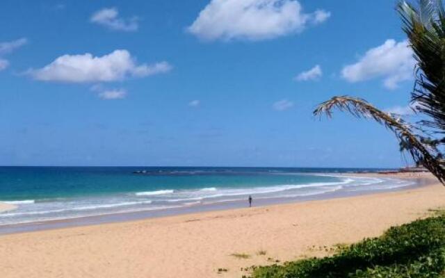 Beach Class Eco Life Muro Alto 9003