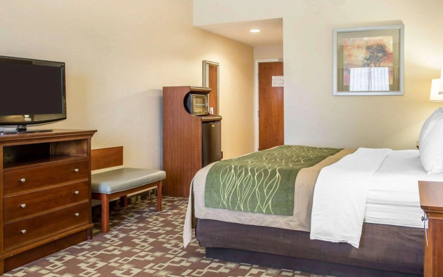 Comfort Inn & Suites Orangeburg