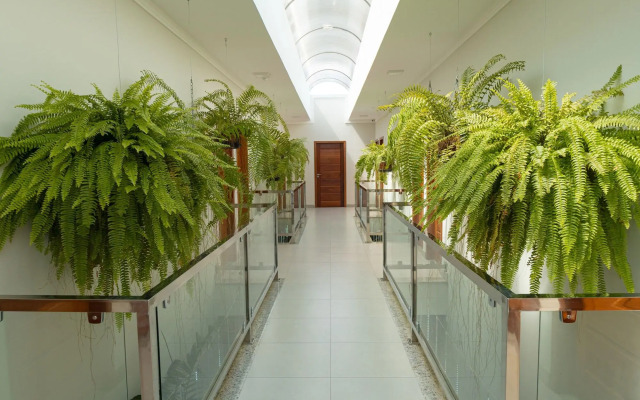 Orquídeas Praia Hotel