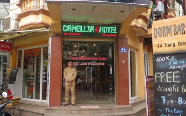 Camellia 4