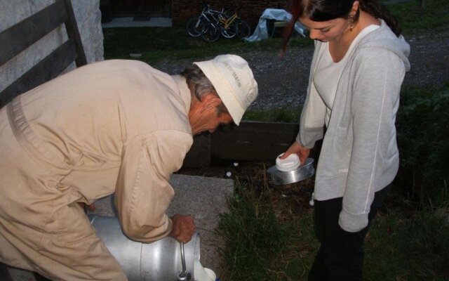 Ferienwohnungen am Berg - Almhütte Alfen
