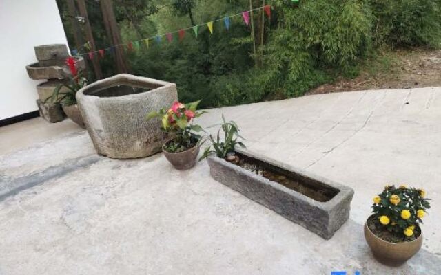 Shizhulinyoujubishushanzhuang