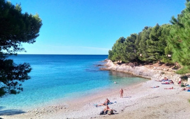 Jadranka - Free Parking - SA1