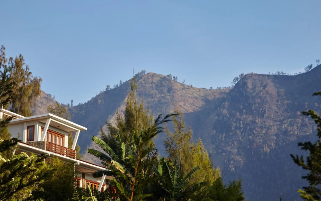 Java Banana Lodge Bromo