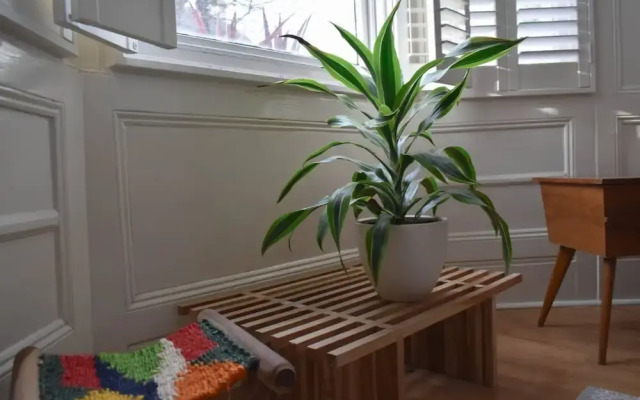 Bright and Spacious 1BD in Quiet Residential
