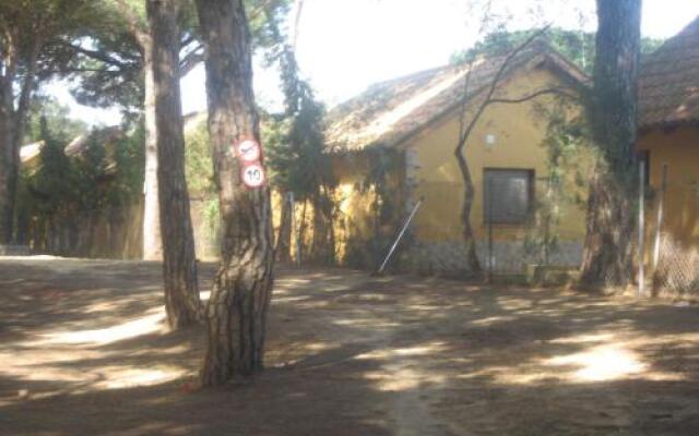 Camping Vejer