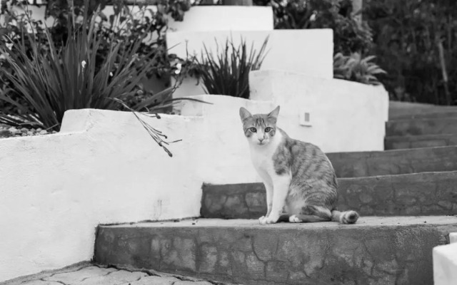 Suítes Silêncio e Aconchego