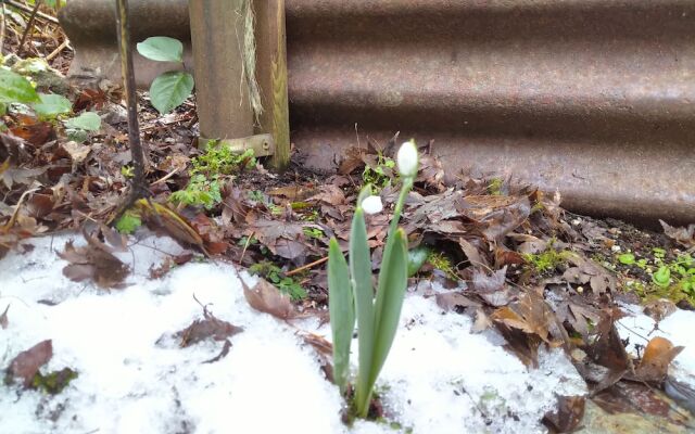 The Cabin at Moon Dance