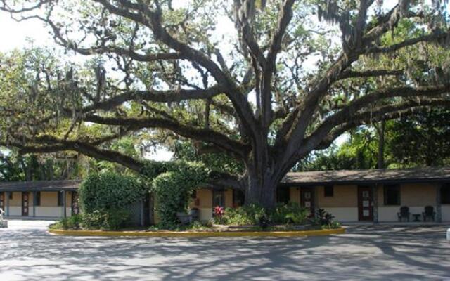 Castillo Inn