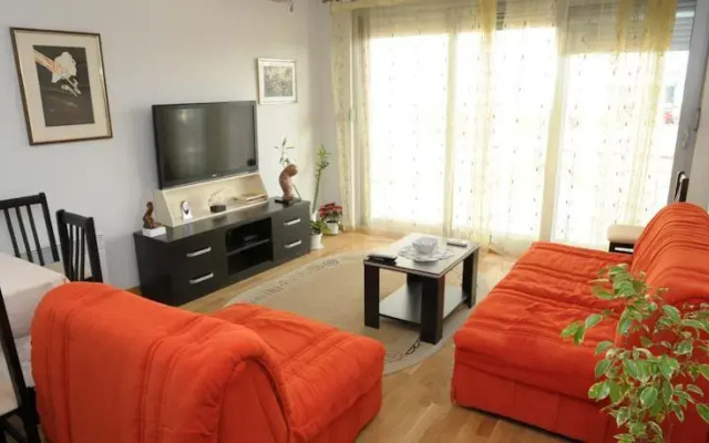 Apartment Adzic Lux