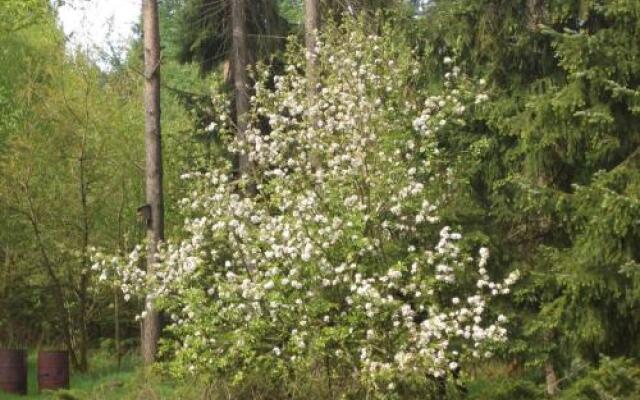 Ferienwohnung Huus ton witten Barg