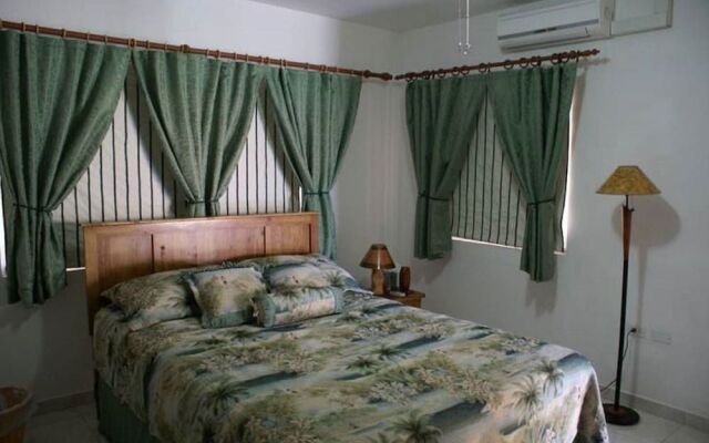 Aruba Palm Beach Villa