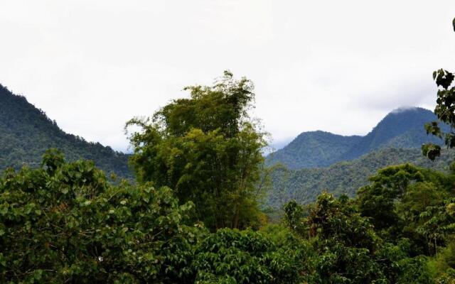 Mindo Green House