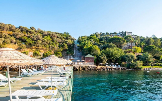 Lovely House Near Sea and Private Beach in Bodrum