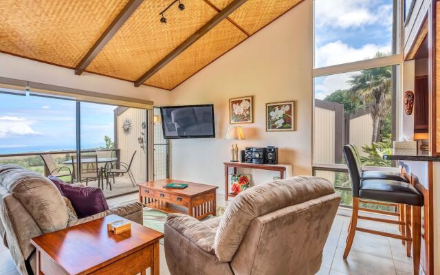 Waikoloa Village Condominiums #D-207 by RedAwning