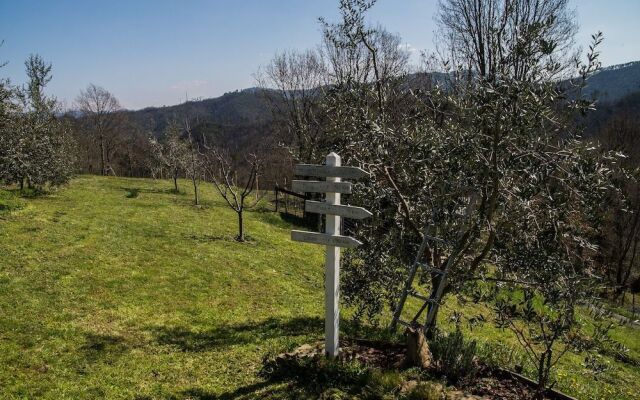 Agriturismo Angiò nel Ceré