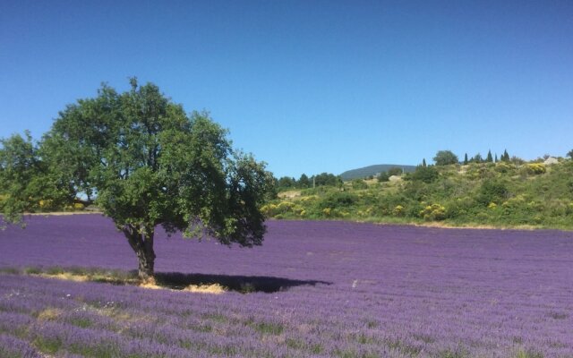 Le Jardin de Lau