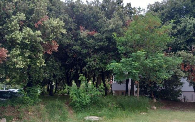 Guest House Green Corner Palit