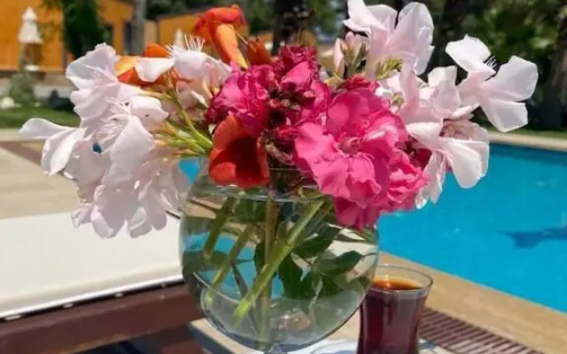 Riverside Gocek Apart Otel Tiny House